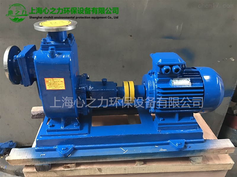 河西區街道ZW自吸式排污泵
